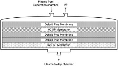 Delipid extracorporeal lipoprotein filter from plasma system: a new intensive lipid lowering therapy for patients with acute ischemic stroke